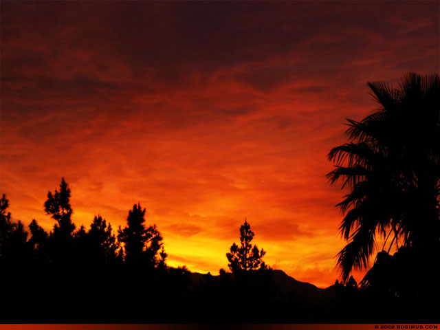 Fire Sunset