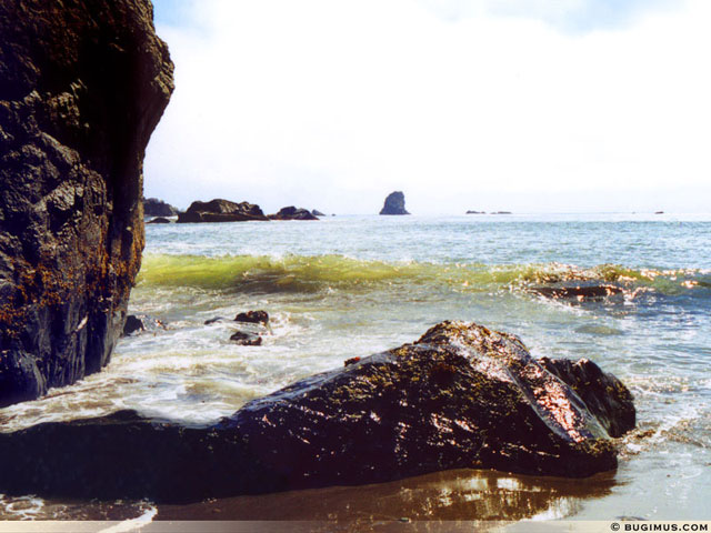 Rocky Shore